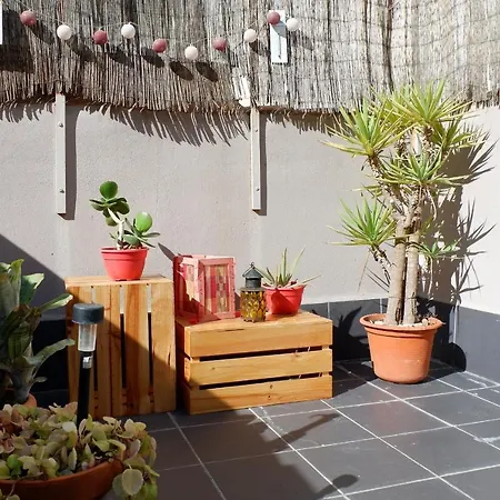Atico En El Centro Historico Con Terraza *